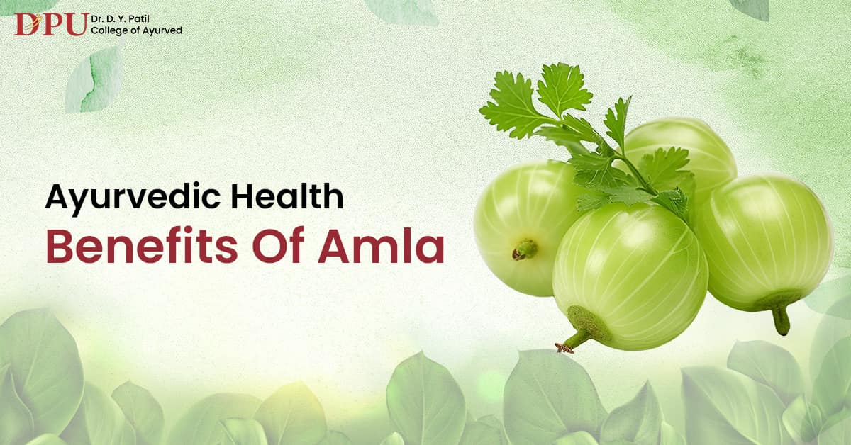 Ayurvedic Health Benefits of Amla