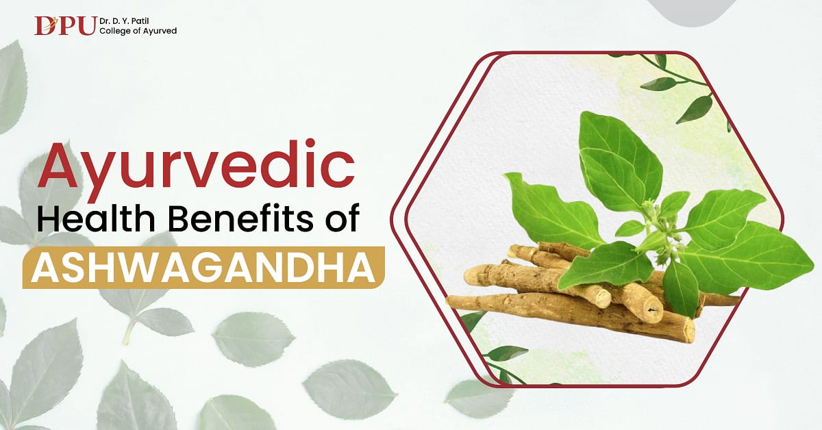 Ayurvedic Health Benefits of Ashwagandha