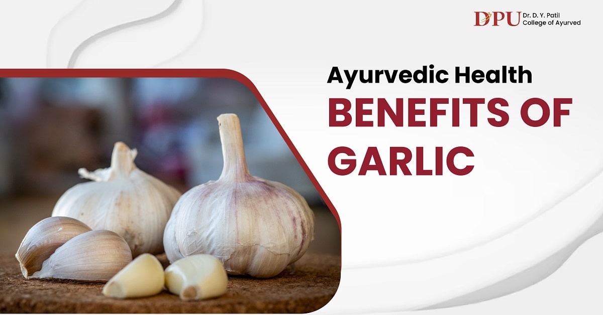 Ayurvedic Health Benefits of Garlic