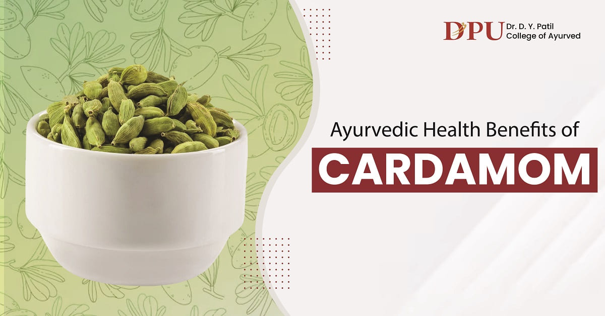 Ayurvedic Health Benefits of Cardamom