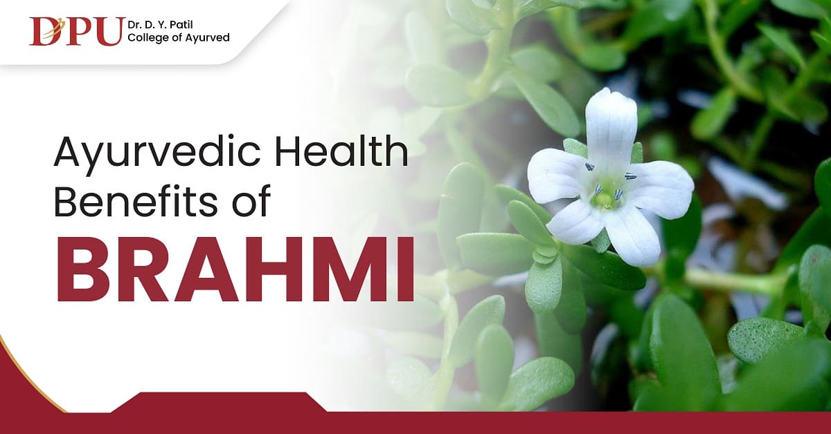 Ayurvedic Health Benefits of Brahmi: A Natural Remedy for Mind & Body