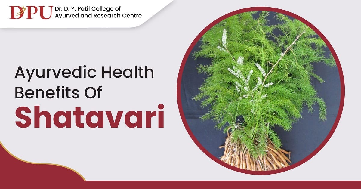 Ayurvedic Health Benefits of Shatavari