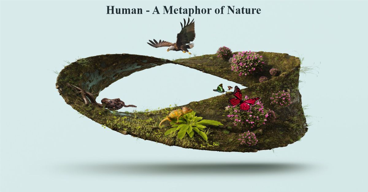 Human - a Metaphor of Nature