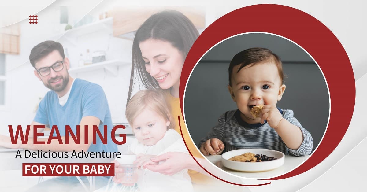 Weaning: a Delicious Adventure for Your Baby