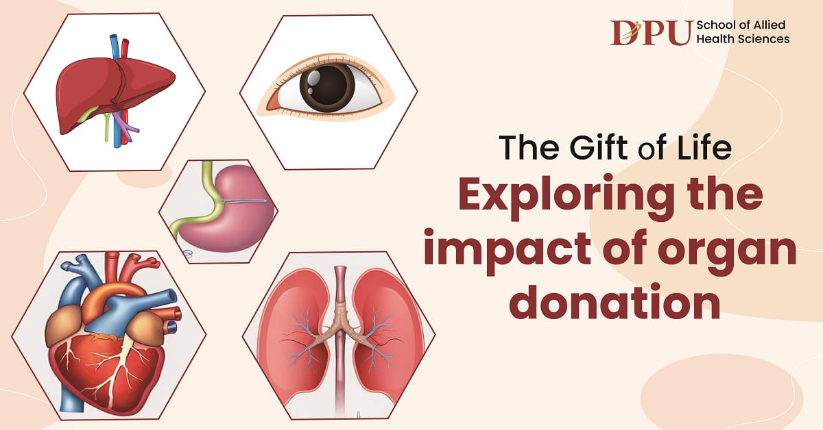 The Gift of Life: Exploring the Impact of Organ Donation