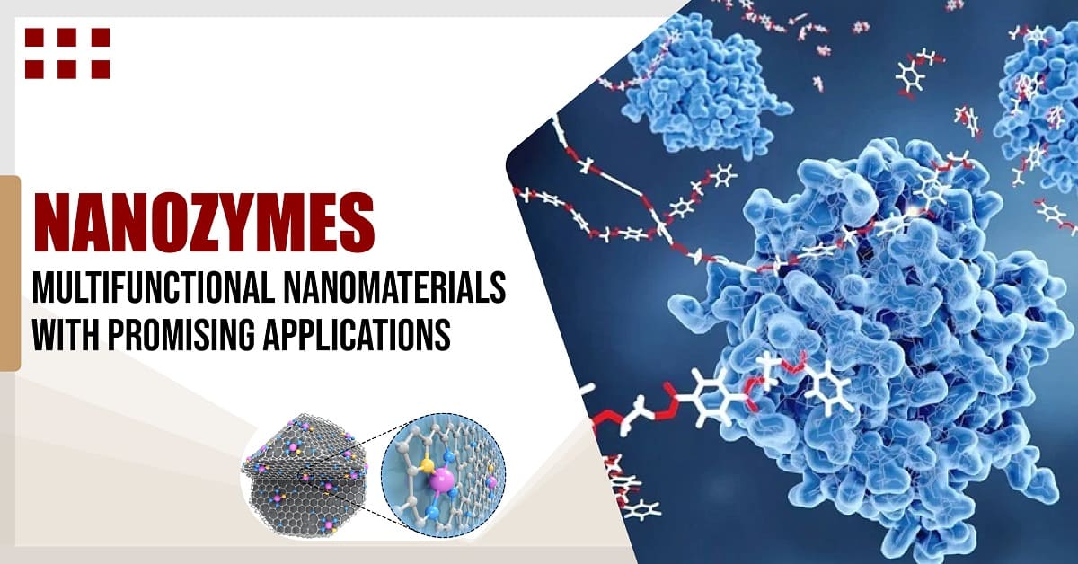 Nanozymes: Multifunctional Nanomaterials With Promising Applications