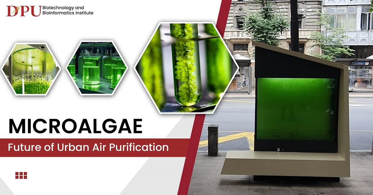 Microalgae : Future of Urban Air Purification