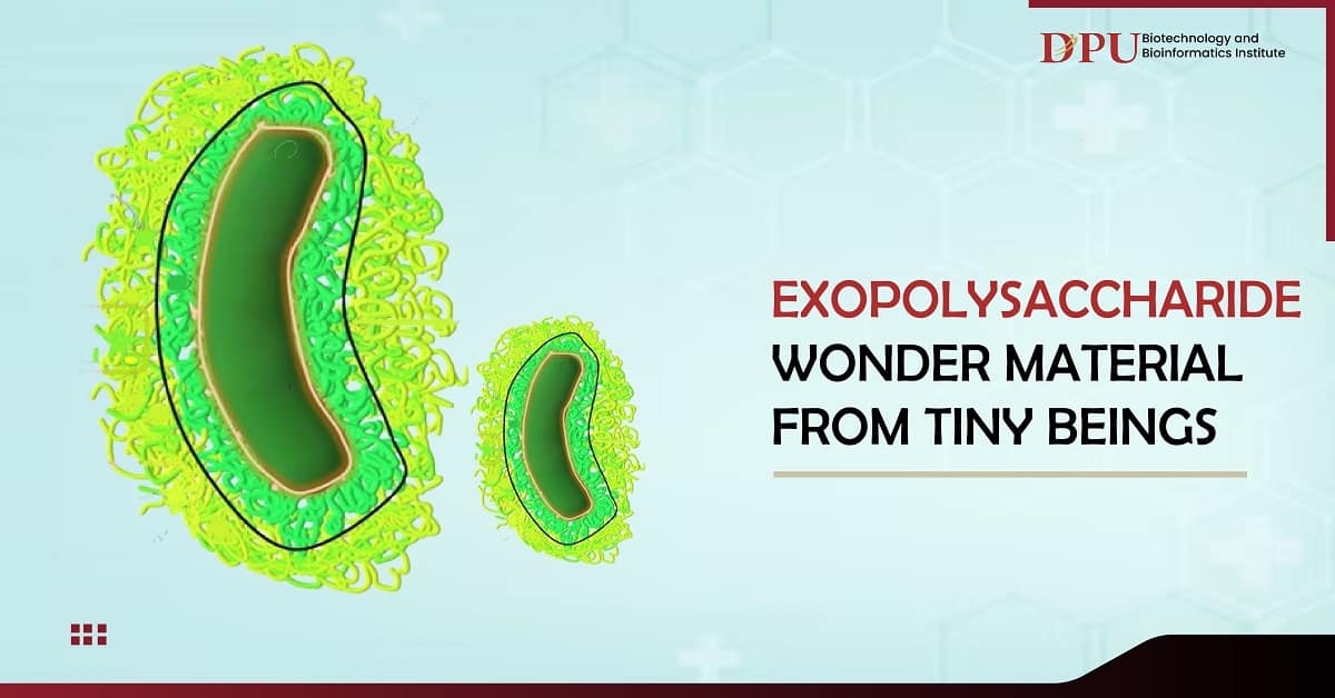 Exopolysaccharide: Wonder Material From Tiny Beings