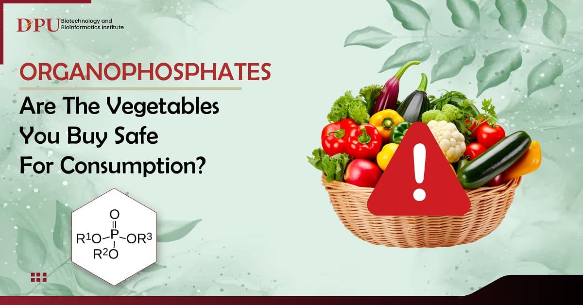 Organophosphates: Are the Vegetables You Buy Safe for Consumption?