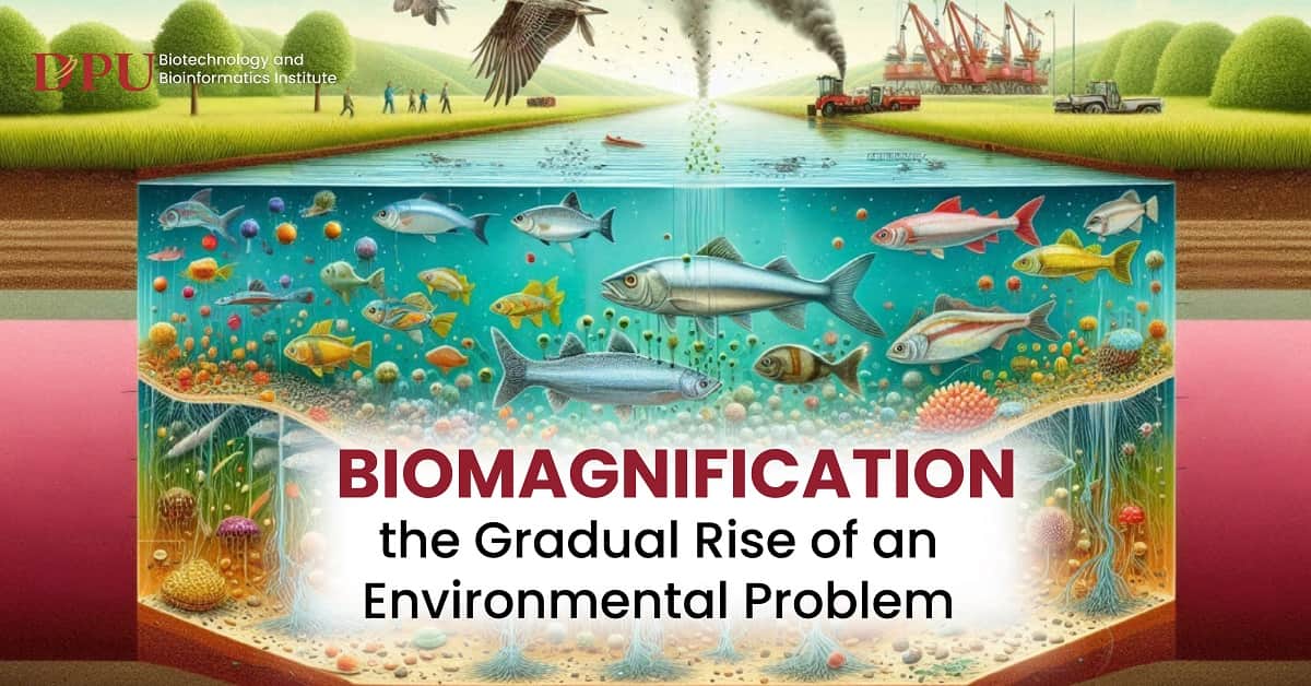 Biomagnification: the Gradual Rise of Environmental Problem