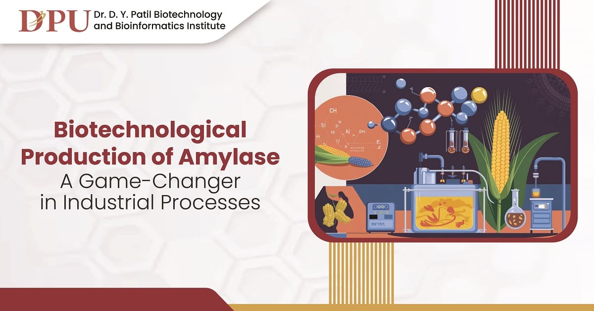 Biotechnological Production of Amylase: A Game-Changer in Industrial Processes