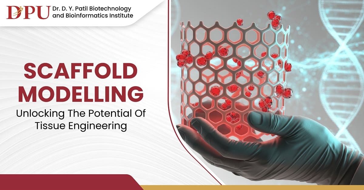 Scaffold Modelling Unlocking the Potential of Tissue Engineering