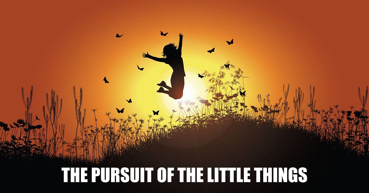 The Pursuit of the Little Things