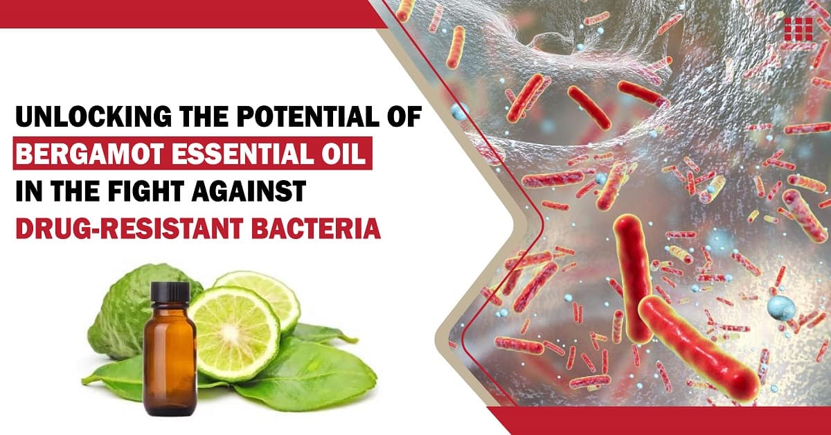 Bergamot Essential Oil: A Natural Weapon Against Multidrug-Resistant Bacteria