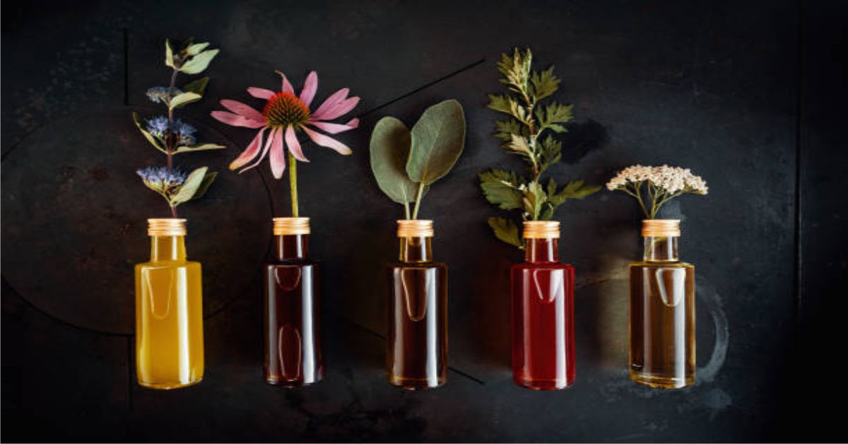 Scent-national Updates: a Whiff of the Latest Trends in Perfume and Essential Oils
