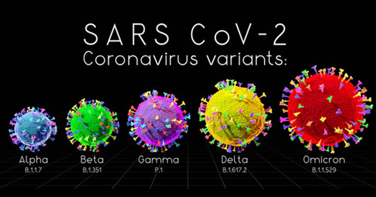 SARS-Covid-2 Variants