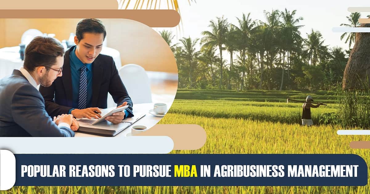 Popular Reasons to Pursue MBA in Agribusiness Management