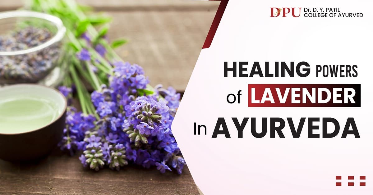 Healing Powers of Lavender in Ayurveda