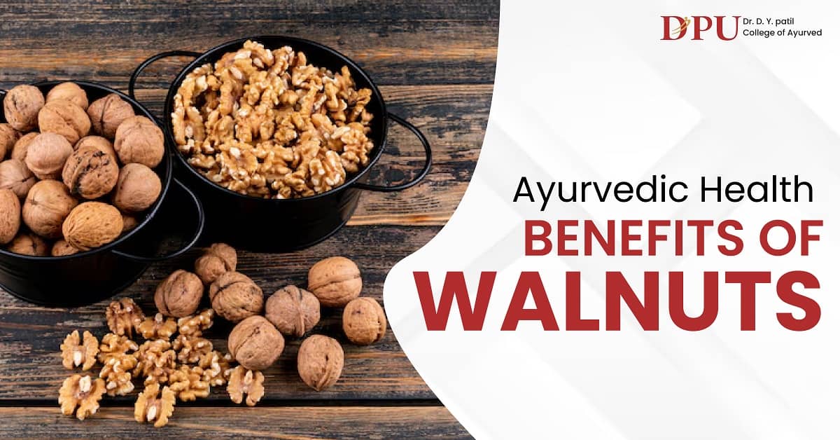 Ayurvedic Health Benefits of Walnuts