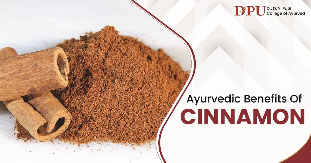 Ayurvedic Benefits of Cinnamon