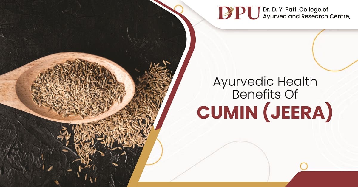 Ayurvedic Health Benefits of Cumin (Jeera)