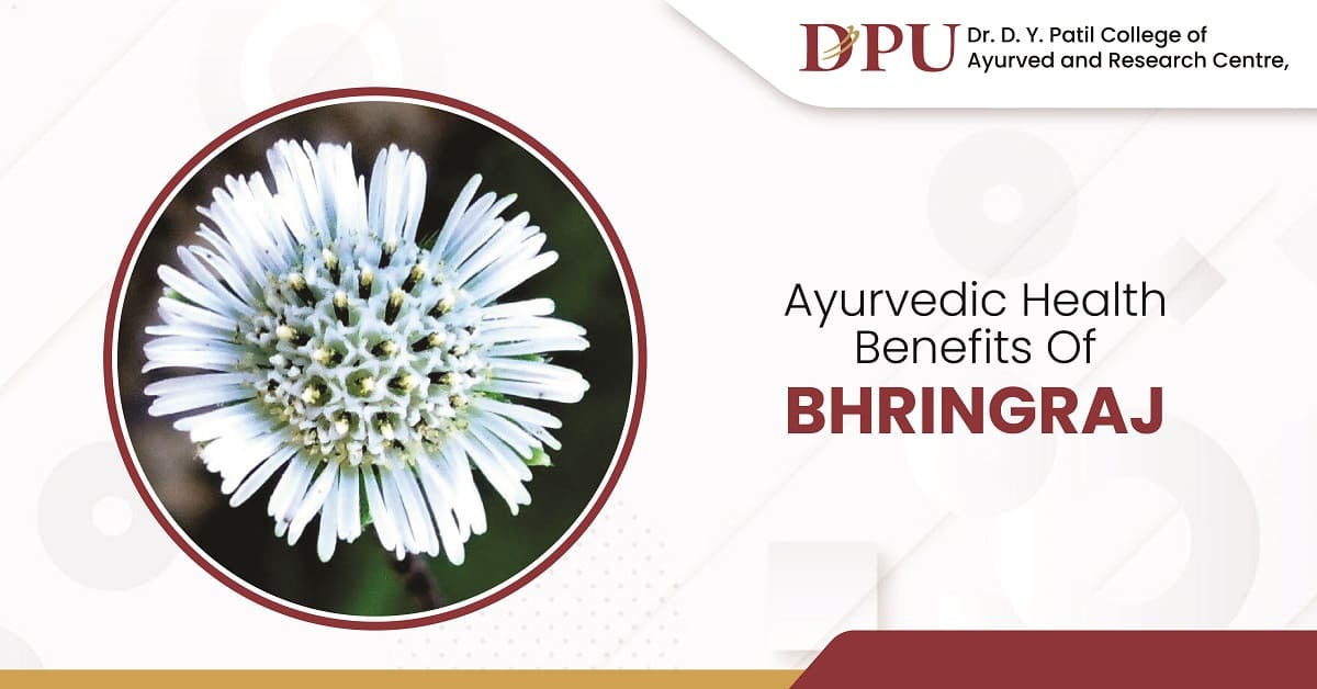 Ayurvedic Health Benefits of Bhringraj