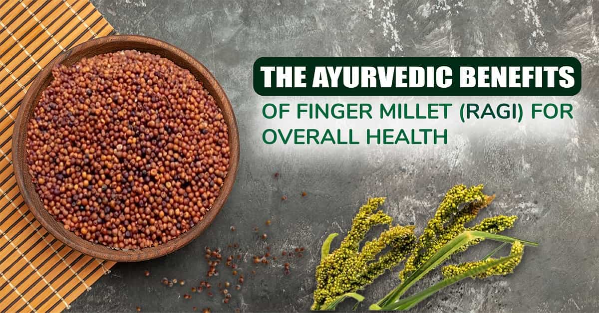 The Ayurvedic Benefits of Finger Millet (Ragi) for Overall Health