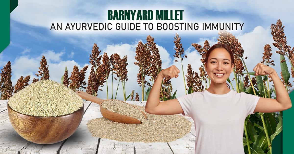 Barnyard Millet: an Ayurvedic Guide to Boosting Immunity