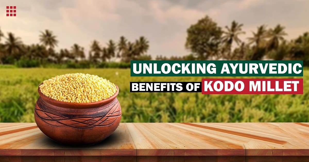 Unlocking Ayurvedic Benefits of Kodo Millet