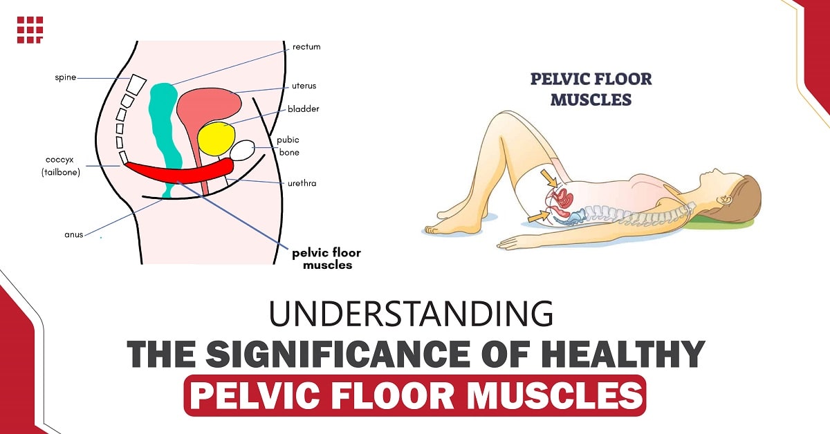 Understanding the Significance of Healthy Pelvic Floor Muscles